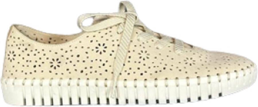 Skechers Sepulveda Blvd Floral Maze Beige Wit - Foto 3