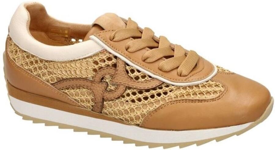 Softwaves Dakota 9.32.29 006 noisette Cognac