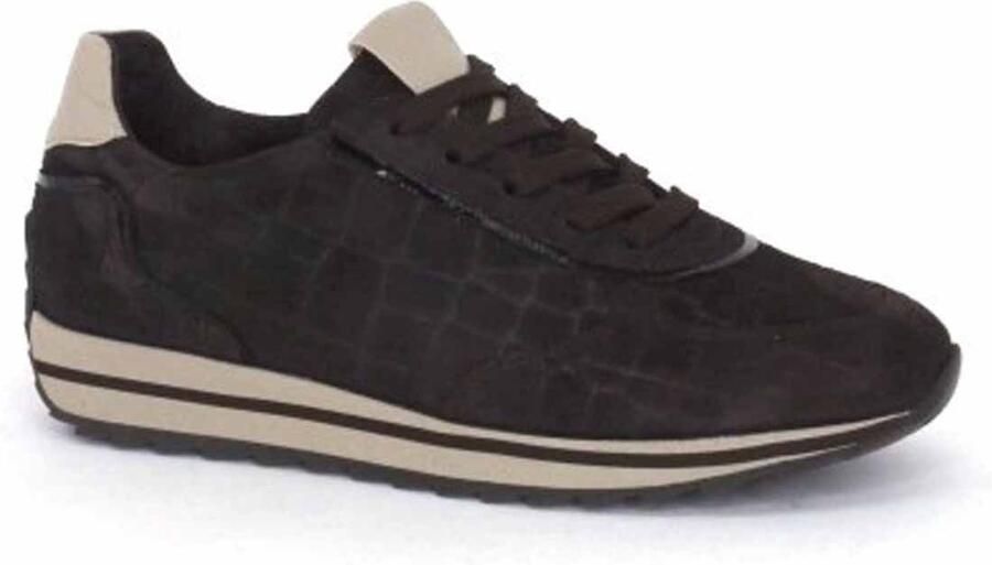 Softwaves SNEAKER