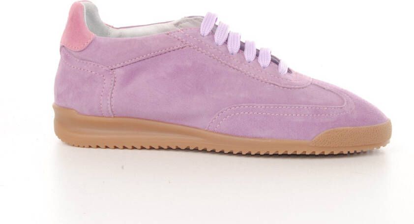 Soldini80 Dart Amalfi sneaker mauve
