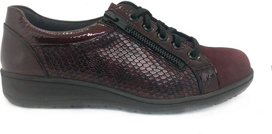 Solidus Bordeaux Veterschoenen Wijdte K