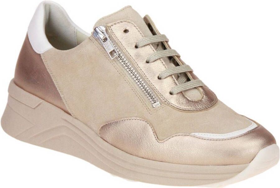 Solidus Karma 59071 K 40519 champagn Beige