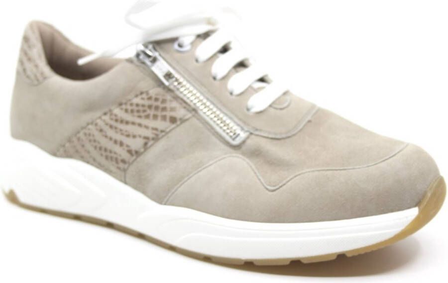 Solidus 66501 Kea suede fango K Kleur Marmer)