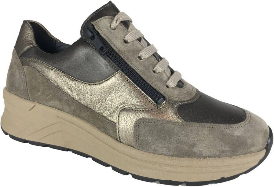 Solidus SNEAKER