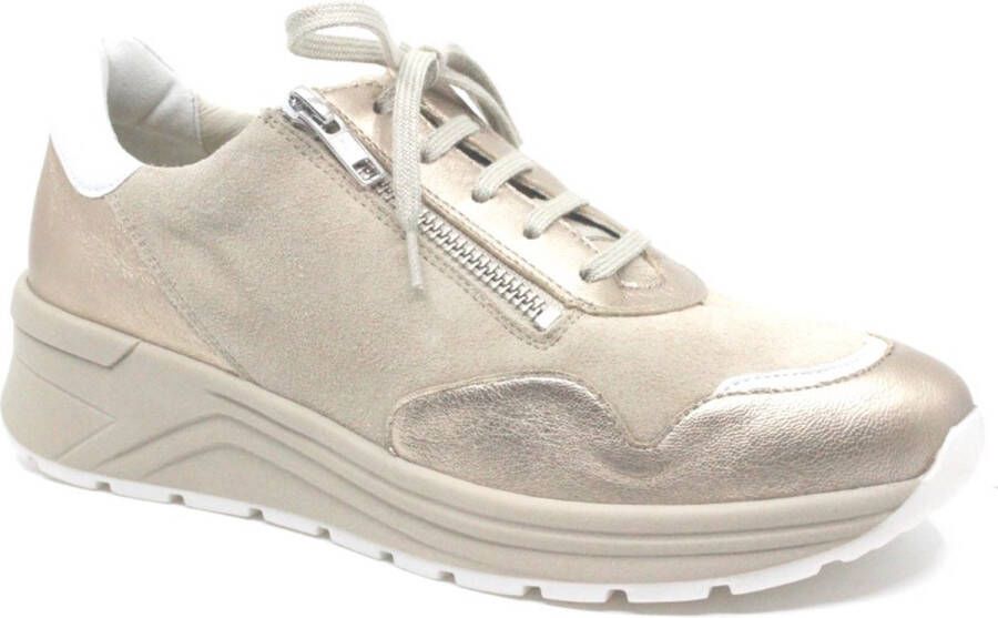 Solidus 46020 Holly H Champagne goud sneaker Kleur Goud)