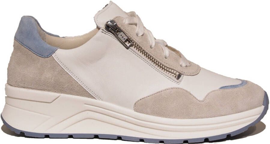 Solidus Solid Beige