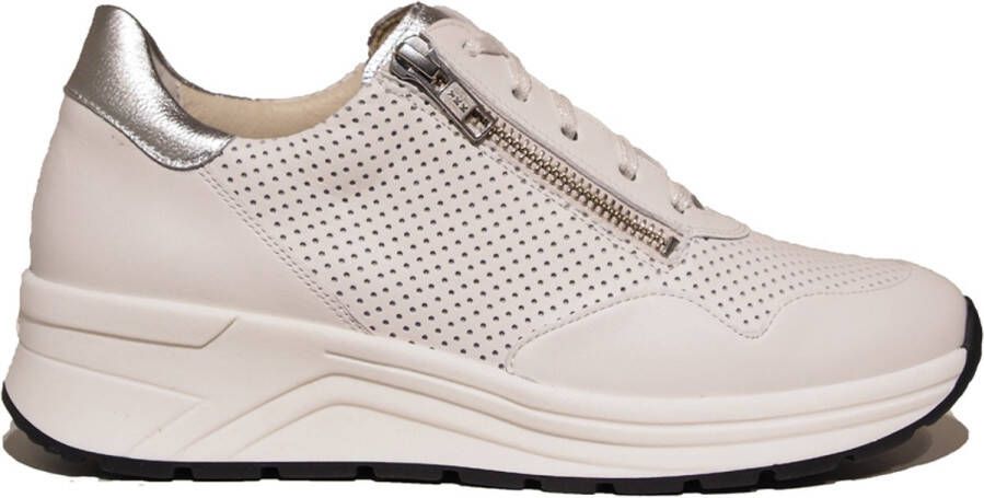 Solidus 59074 Sneakers
