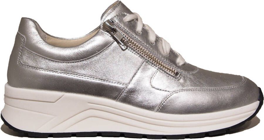 Solidus Solid Zilver
