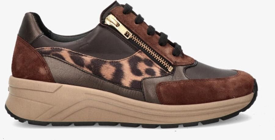 Solidus Cognac panter veter H 46023-30787 H Panter