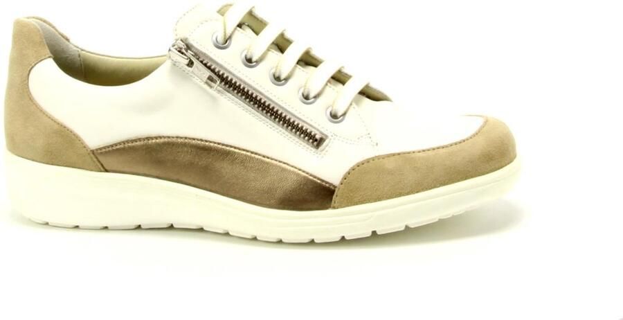 Solidus Sneakers Heaven