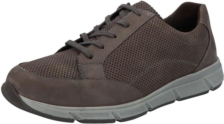 Solidus Heren Lage sneakers grijs