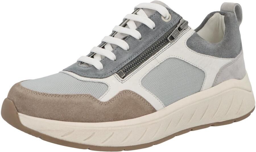 Solidus Heren Lage sneakers meerkleurig