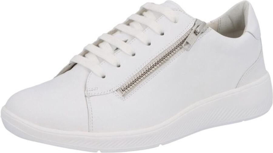 Solidus Sneakers