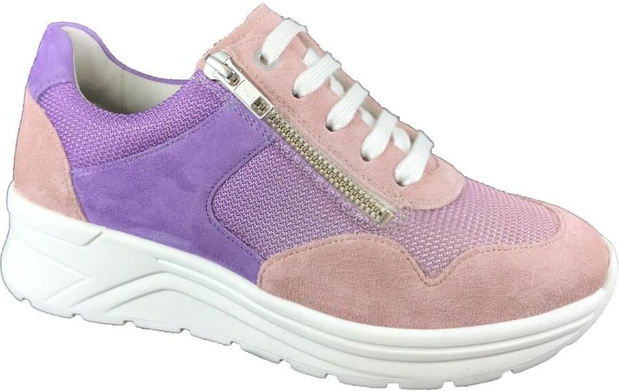 Solidus SNEAKER