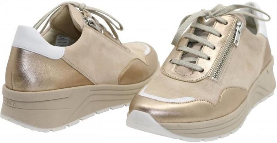 Solidus Sneakers karma botta champagne multi snea