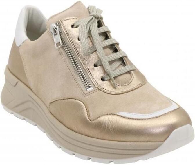 Solidus Sneakers karma botta champagne multi snea