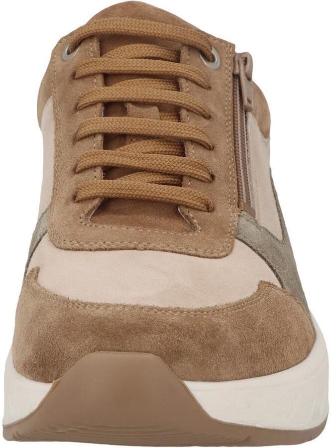 Solidus Solid 10093 heren sneakers bruin