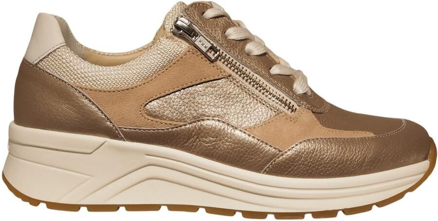 Solidus Solid Champagne sneaker