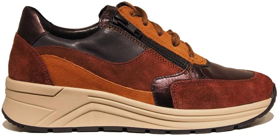 Solidus bordeaux Karma sneakers