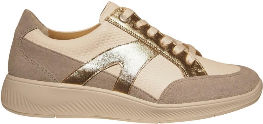 Solidus Solid Taupe sneaker