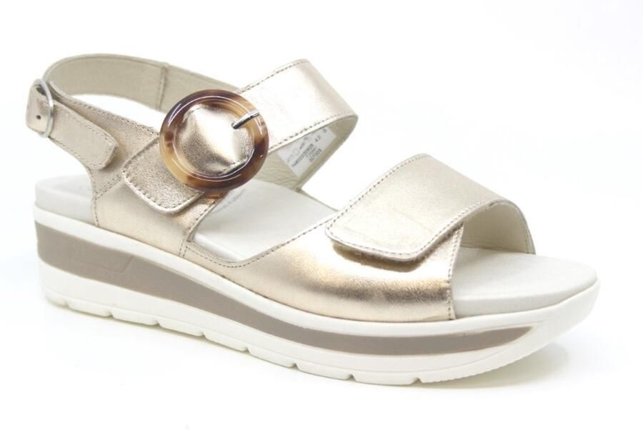 Solidus Solid Wijdte G