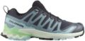 Salomon XA PRO 3D V9 W Dames Wandelschoenen Trail-Running Schoenen Blauw - Grijs