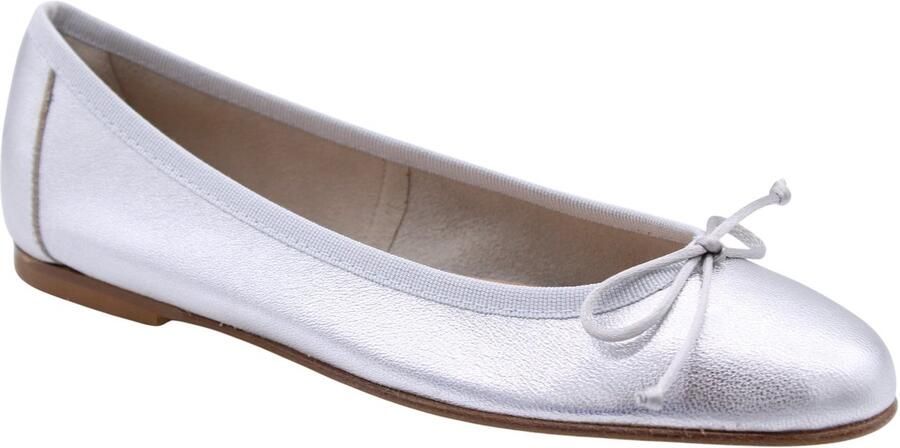 Status Schoenen Zilver Vrouwen