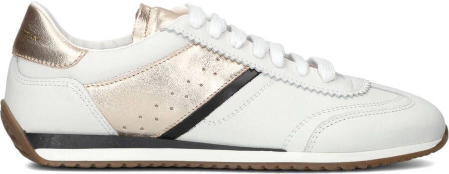STEFANO LAURAN Lage Sneakers Dames 1tage1031 Maat: 39 Materiaal: Leer Kleur: Wit