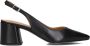 STEFANO LAURAN Slingbacks Dames 1yucca102 Maat: 36 Materiaal: Leer Kleur: Zwart - Thumbnail 2