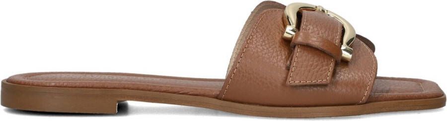 Stefano Lauran 23100 Slippers Dames Bruin