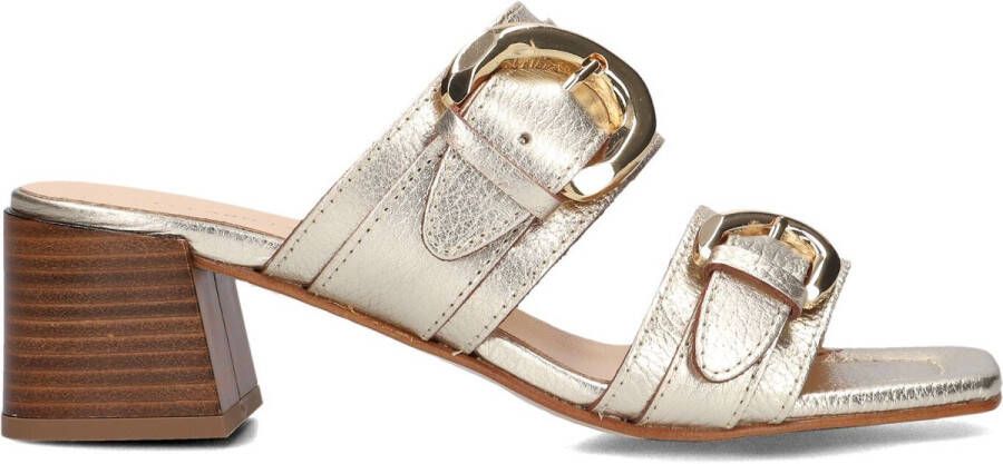 Stefano Lauran 23118 Sandalen Dames Goud