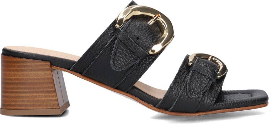 Stefano Lauran 23118 Sandalen Dames Zwart