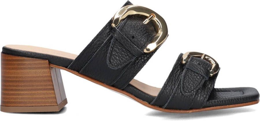 Stefano Lauran 23118 Sandalen Dames Zwart