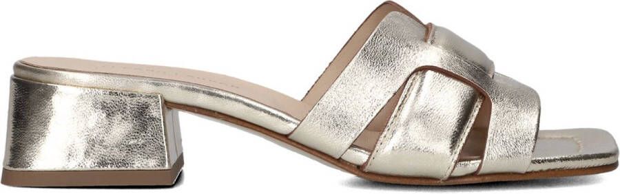 Stefano Lauran 24050 Sandalen Dames Goud