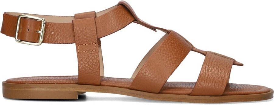 Stefano Lauran 24200 Sandalen Dames Cognac