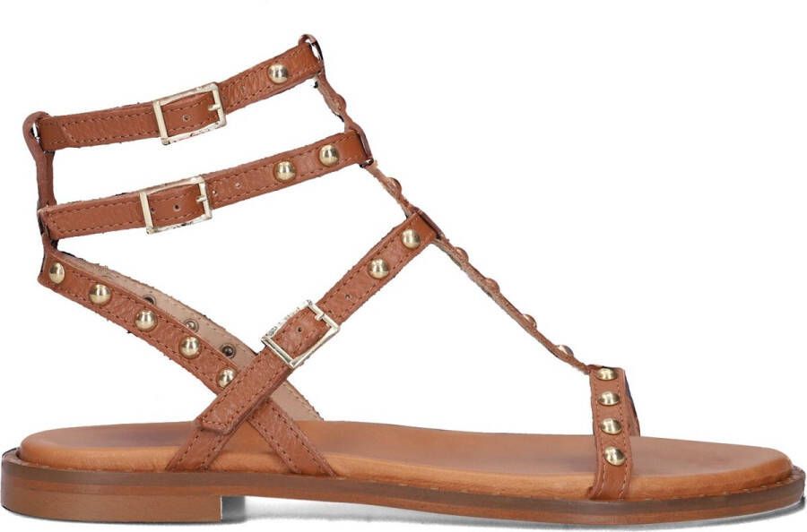 Stefano Lauran 24202 Sandalen Dames Cognac