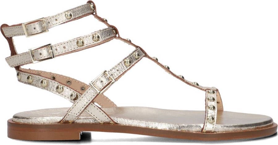 Stefano Lauran 24202 Sandalen Dames Goud