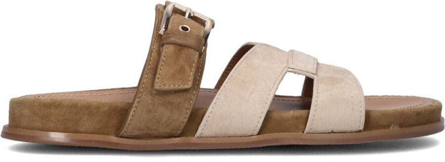 Stefano Lauran 89863 1661 Slippers Dames Bruin