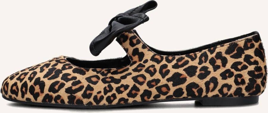 STEFANO LAURAN Ballerina Dames Bailarina Lazo Maat: 41 Materiaal: Ponyhair Kleur: Bruin - Foto 2