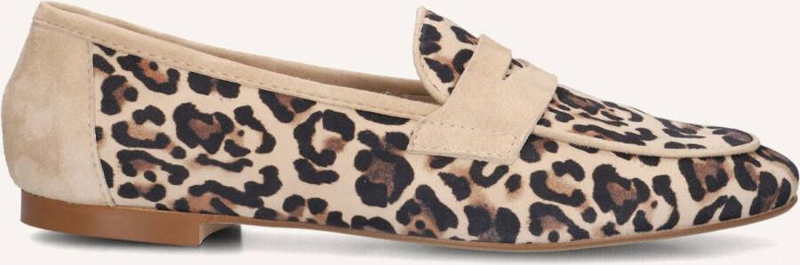 STEFANO LAURAN Loafers Dames Iris Maat: 43 Materiaal: Suède Kleur: Bruin - Foto 3