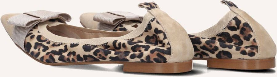 STEFANO LAURAN Ballerina Dames Ivonne Maat: 41 Materiaal: Suède Kleur: Beige - Foto 2