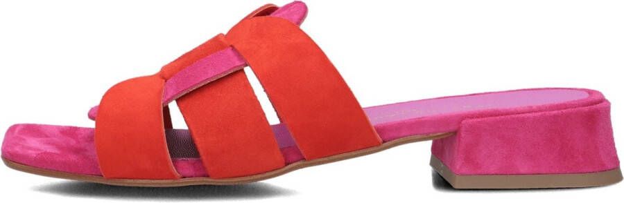 STEFANO LAURAN Slippers Dames Karin Maat: 36 Materiaal: Suède Kleur: Paars - Foto 2
