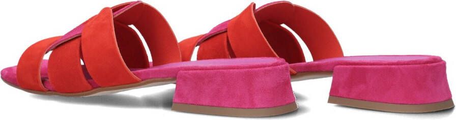 Stefano Lauran Karin Slippers Dames Paars