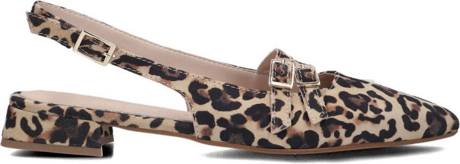 Stefano Lauran Marianna Schoenen Dames Bruin