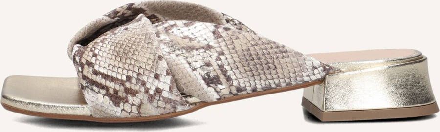 STEFANO LAURAN Slippers Dames Siena Maat: 39 Materiaal: Leer Kleur: Goud - Foto 2