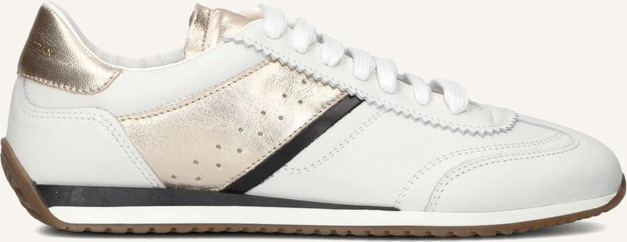 STEFANO LAURAN Lage Sneakers Dames 1tage1031 Maat: 37 Materiaal: Leer Kleur: Wit