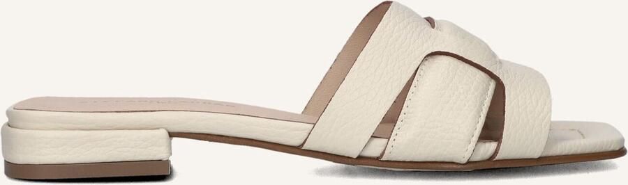 STEFANO LAURAN Slippers Dames 24050 Maat: 37 Materiaal: Leer Kleur: Beige - Foto 3
