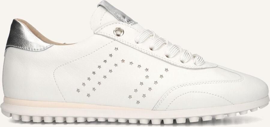 STEFANO LAURAN Lage Sneakers Dames Avril Maat: 38 Materiaal: Leer Kleur: Wit