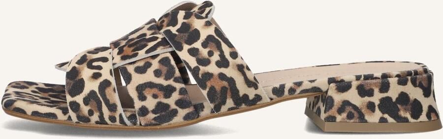 STEFANO LAURAN Slippers Dames Karin Maat: 38 Materiaal: Suède Kleur: Bruin - Foto 3