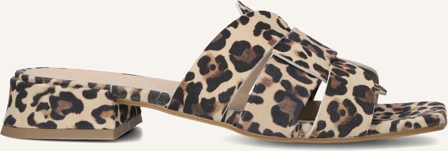 STEFANO LAURAN Slippers Dames Karin Maat: 37 Materiaal: Suède Kleur: Bruin - Foto 2